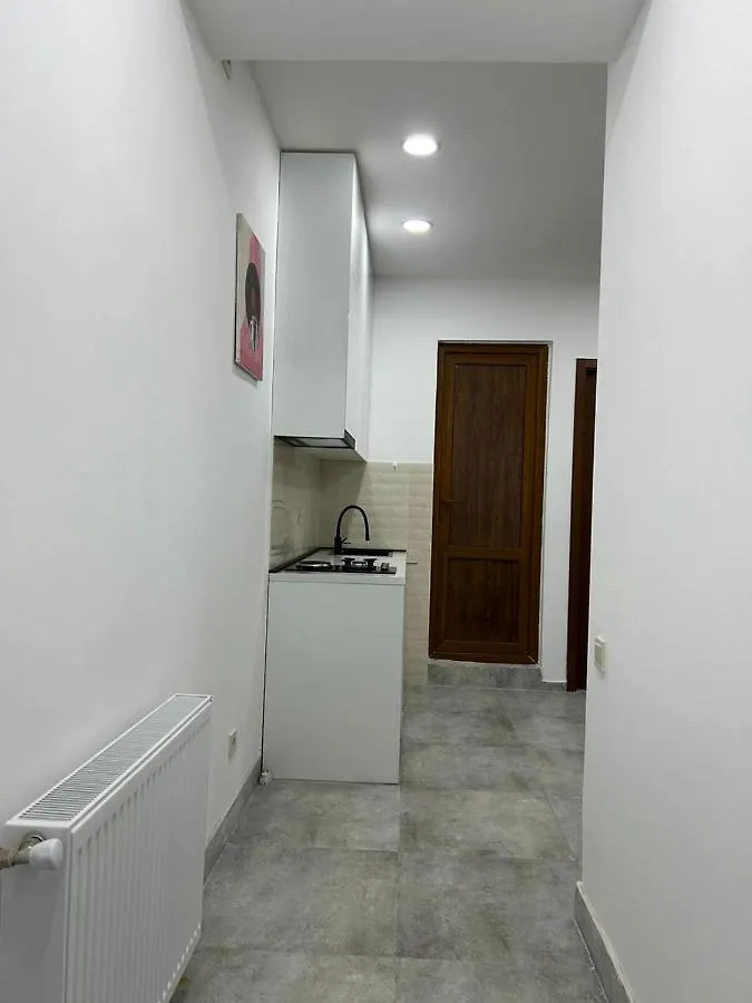 White Corner In Old Tbilisi Apartment 0*,
